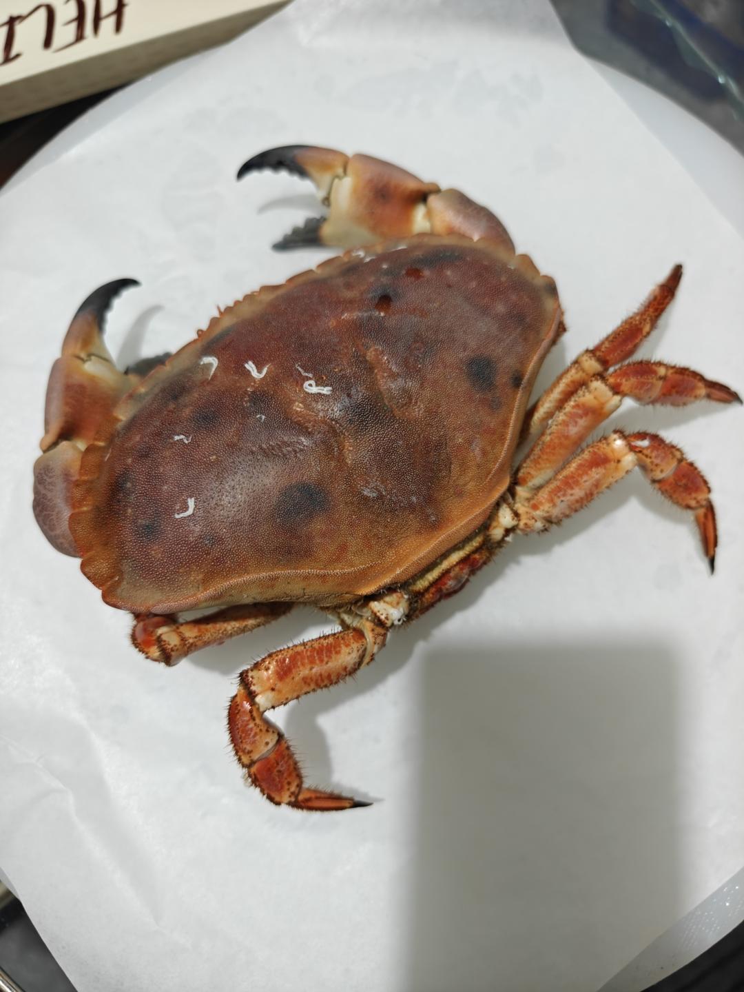 家里有个做水产生意的老公（偶尔卖点跟水产无关的吃的）上传各种买家秀