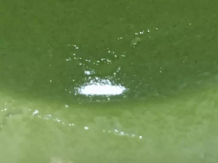 *抹茶布丁*