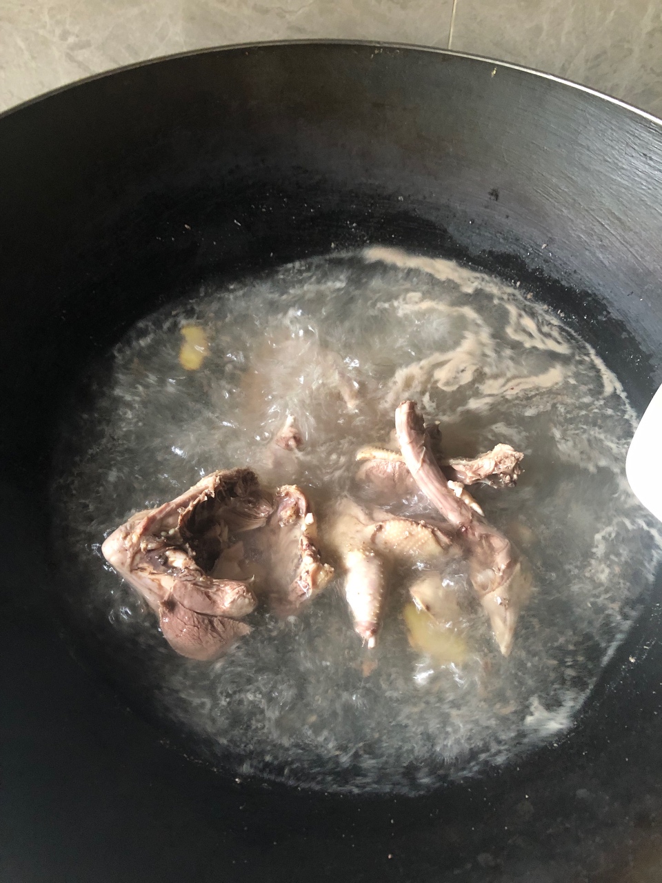 灵芝石斛炖白鸽汤的做法 步骤1