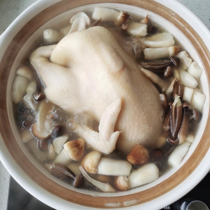 姬松茸鸡枞菌煲鸡汤的做法