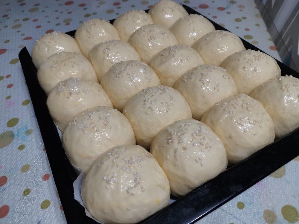 奶香小面包(一次成功）