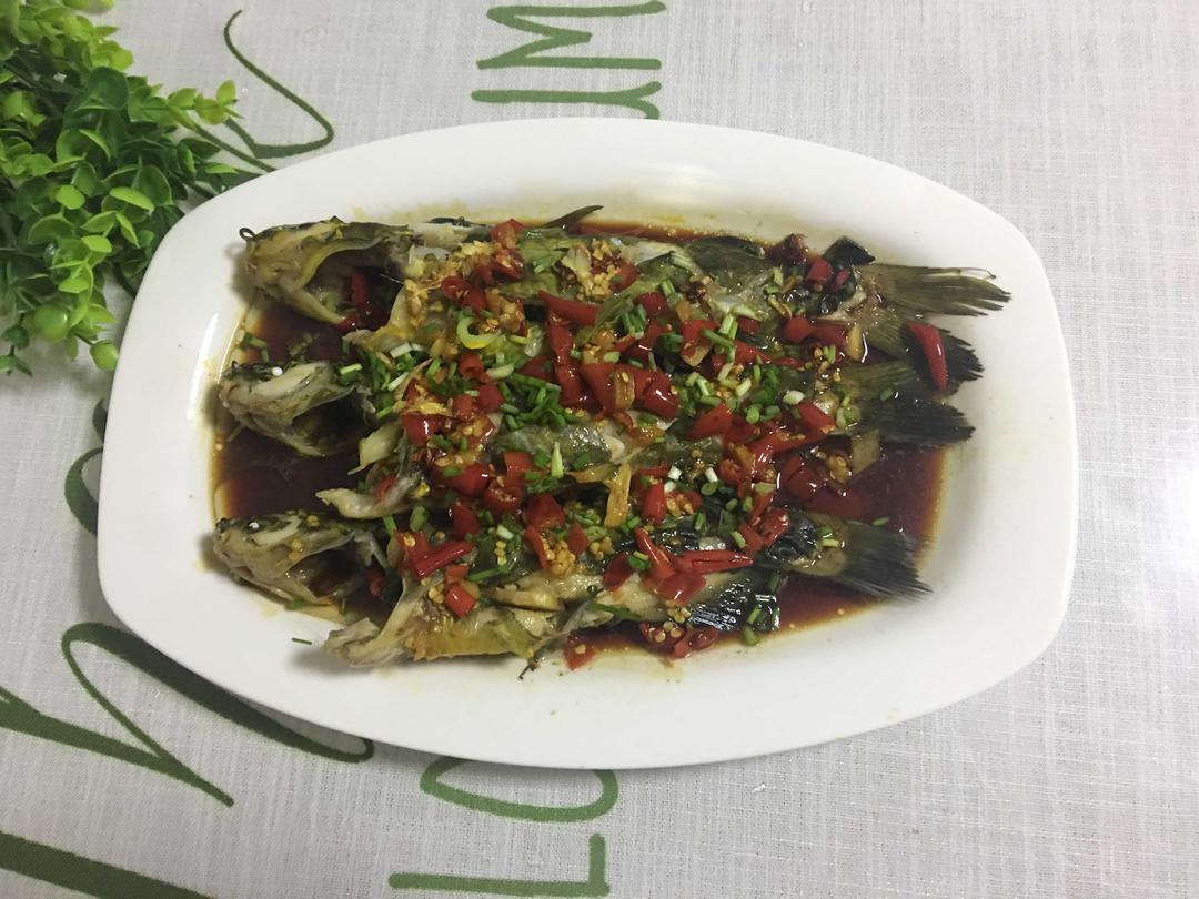 乐活教主的美食之——清蒸昂刺鱼(法格电蒸炉版)的做法