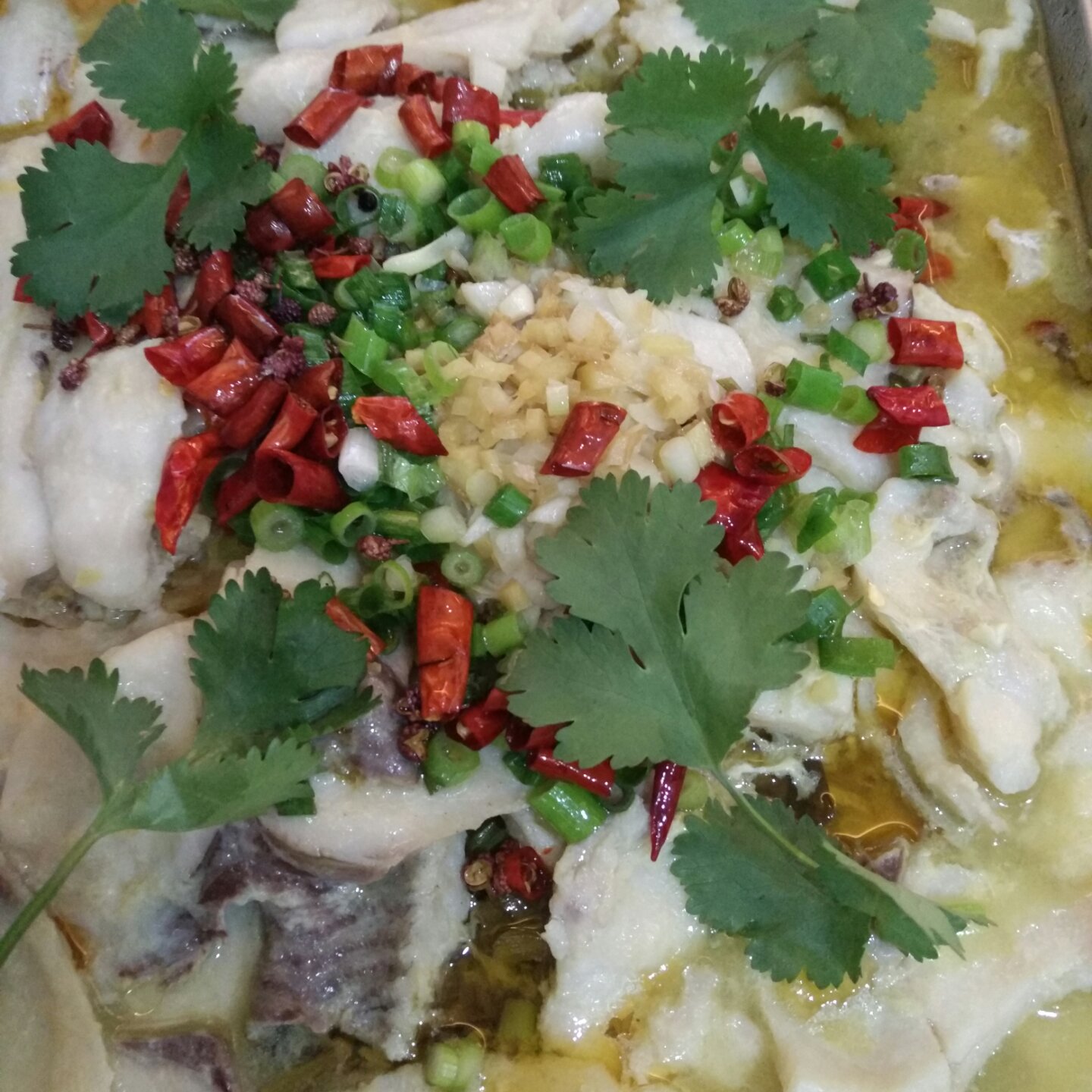 酸菜鱼（不易失手）