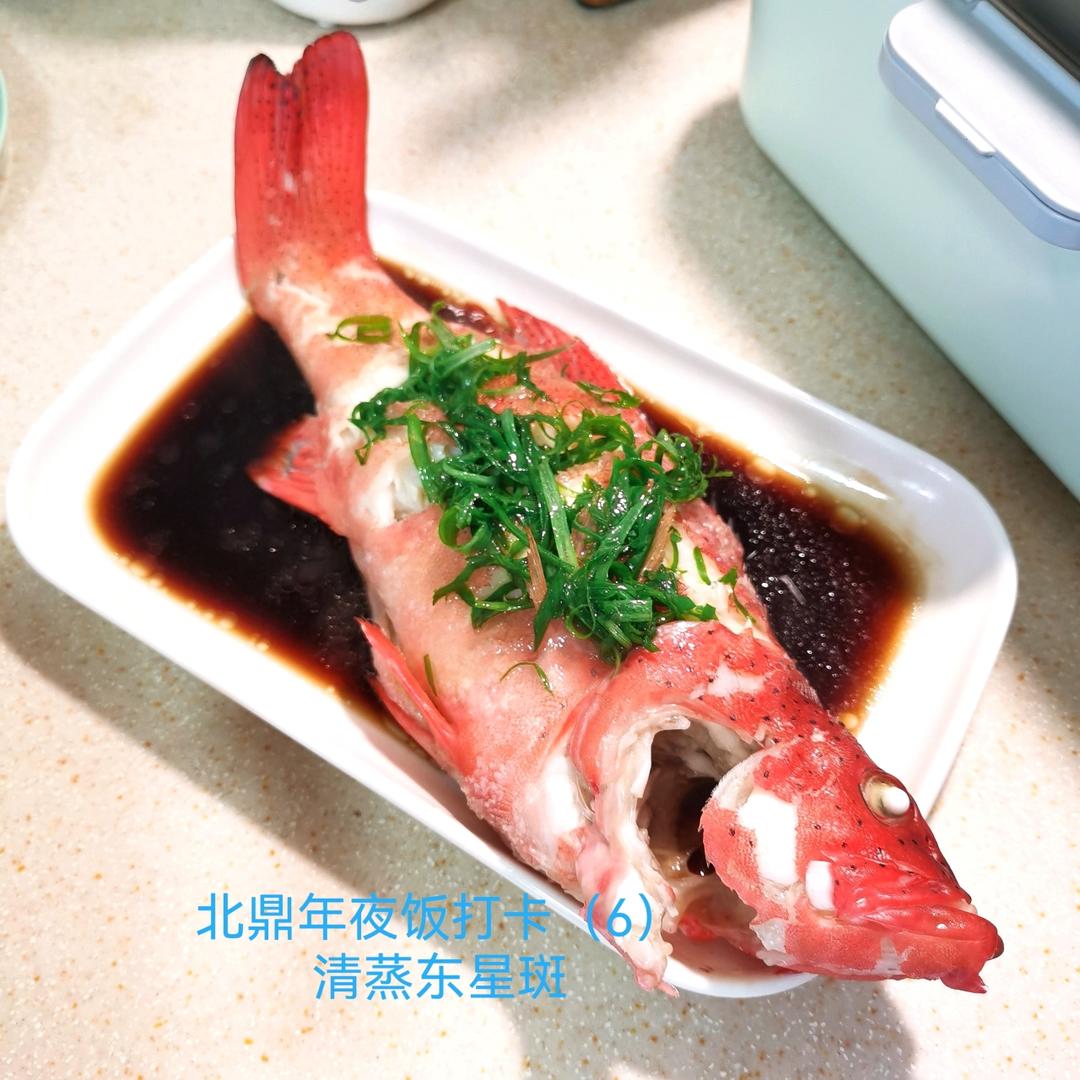 清蒸东星斑&罗氏虾-年年有余&哈哈大笑【北鼎年夜饭】