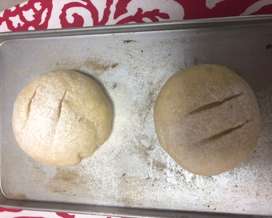 燕麦面包（手揉版）的做法 步骤14