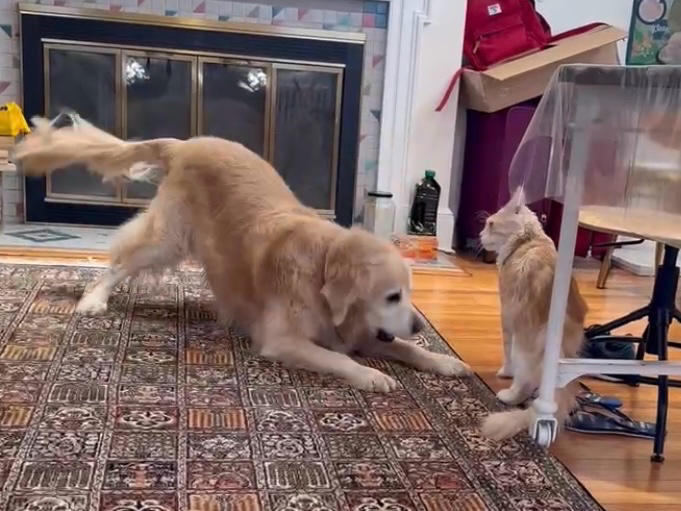 加密Artisan花雕酸奶油