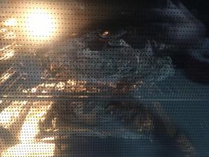 香草黄油烤龙虾的做法 步骤4