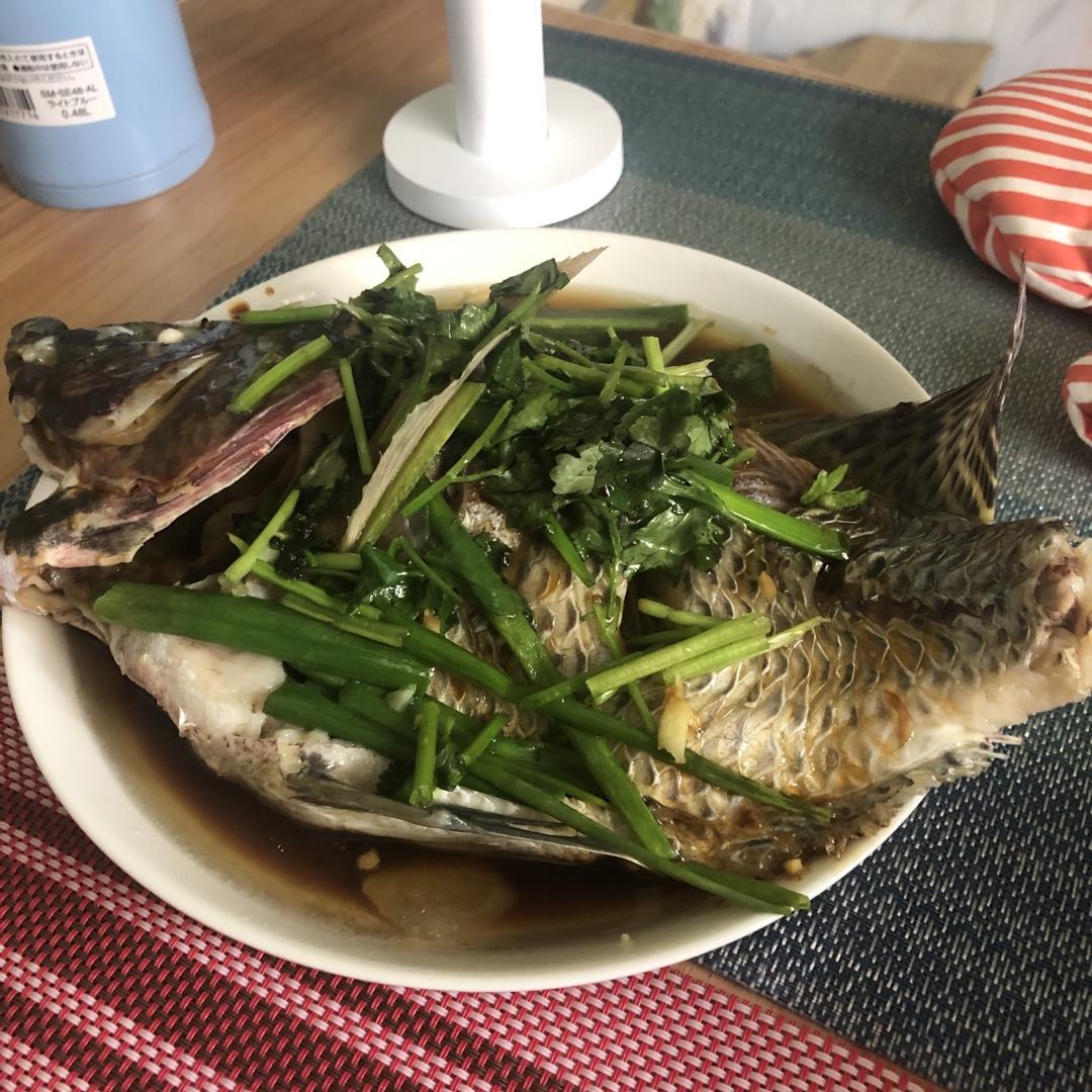 过年餐桌上少不了的菜——清蒸罗非鱼