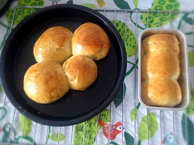 基础面包制作 Basic Bread (Loaf&Roll)