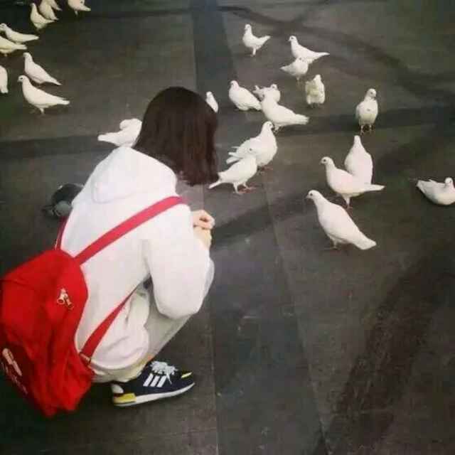 佳佳佳佳佳佳家71