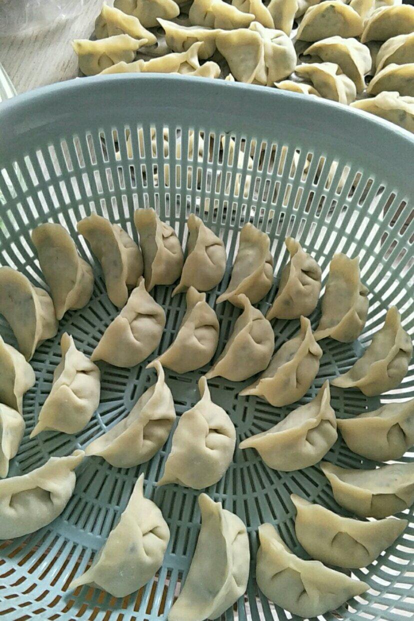 韭菜猪肉饺子(最简单最好吃又最多汁的饺子)