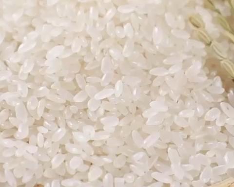 作出好米饭，选米是关键。的做法