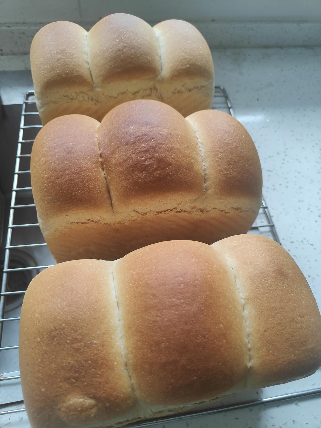 玉米油版一次性发酵吐司