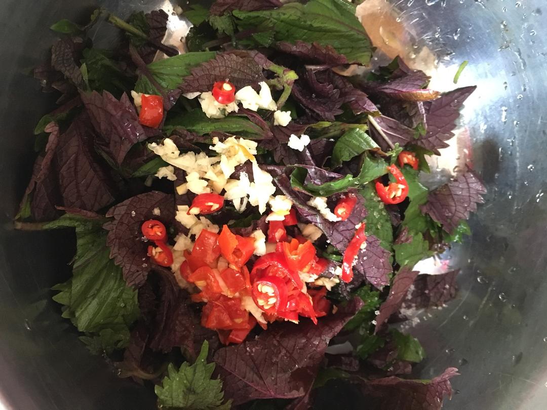 手机用户0248_ka1o做的凉拌紫苏