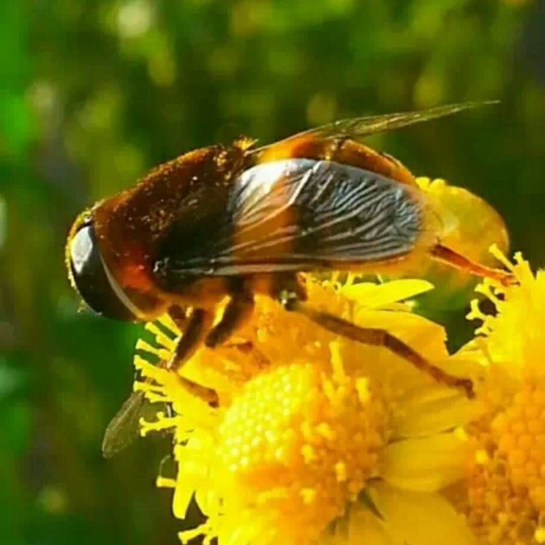 手机用户0611_es2h