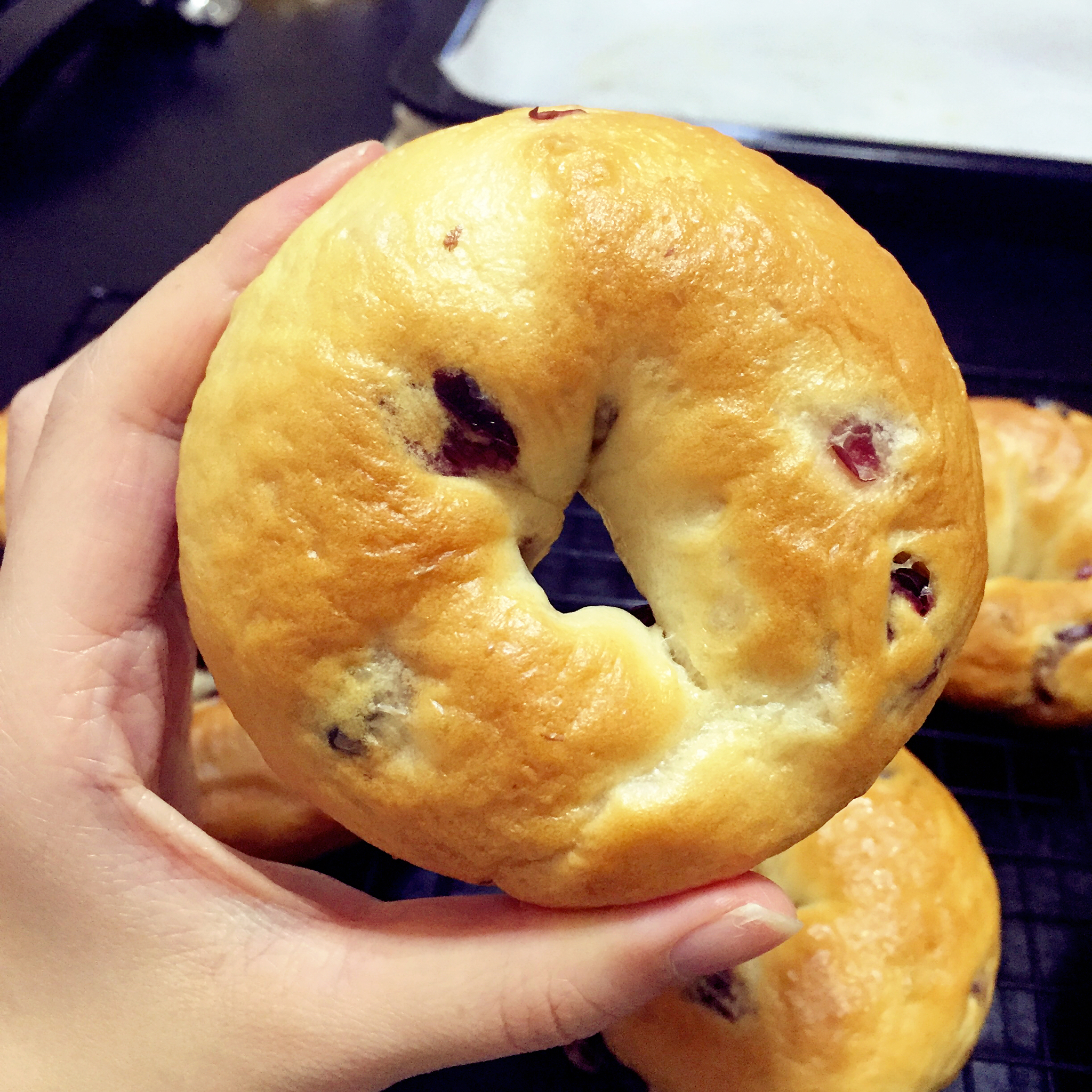 藤田千秋的蔓越莓白巧克力贝果