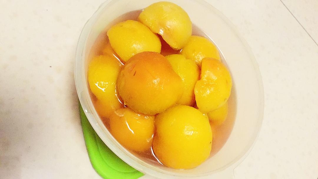 李子.糖水罐头的全部作品