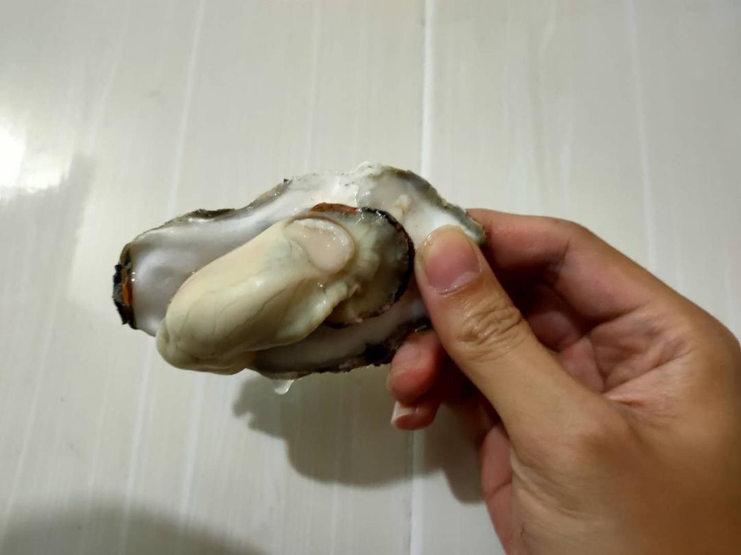 清煮生蚝