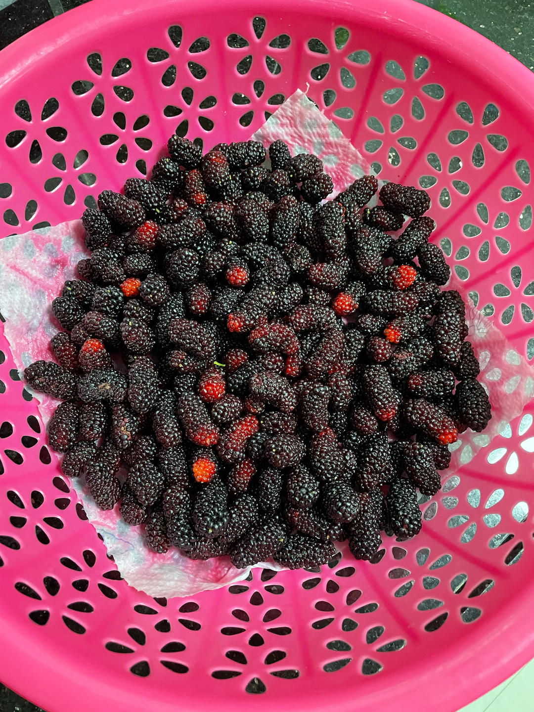 桑葚酱