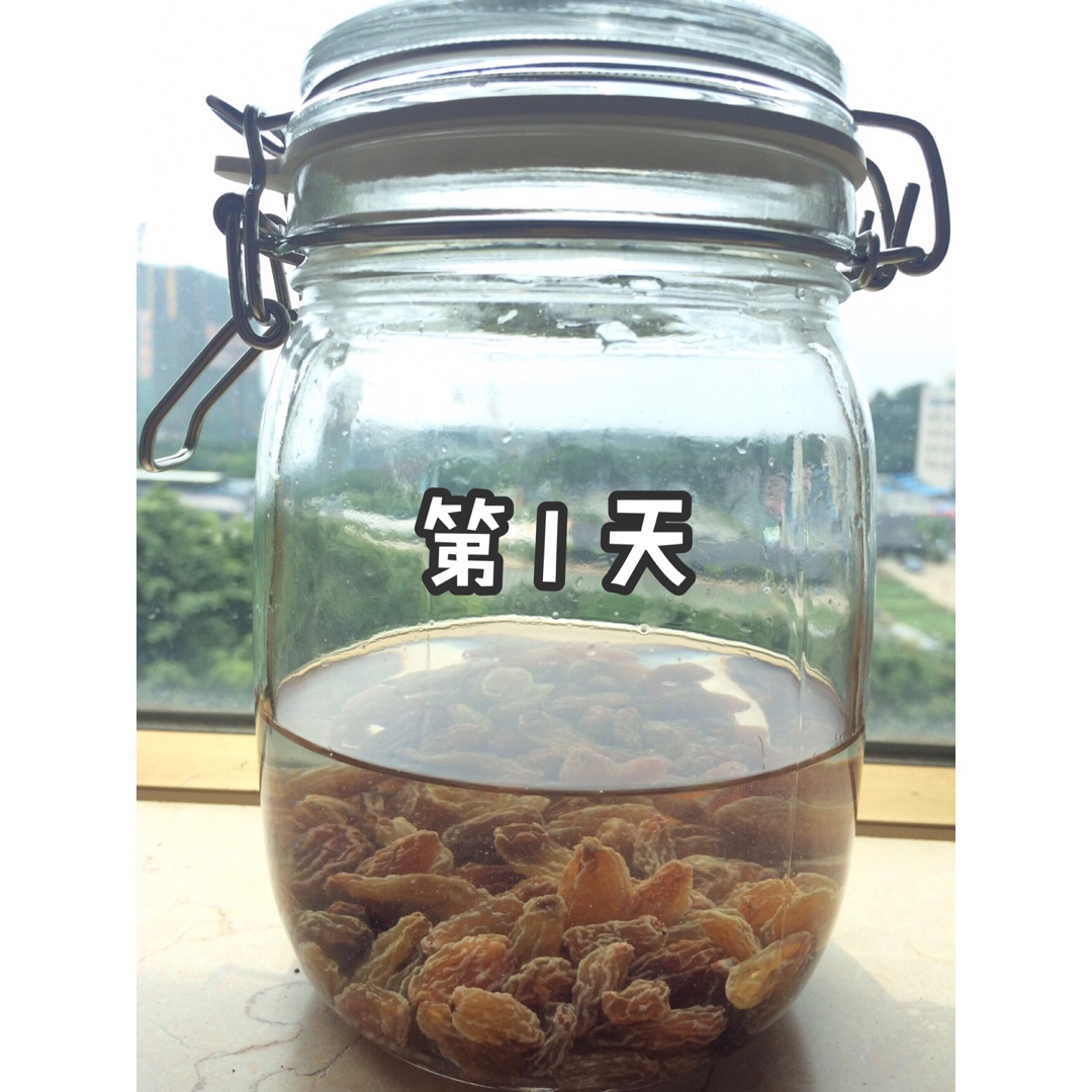 天然酵母宝宝养成记