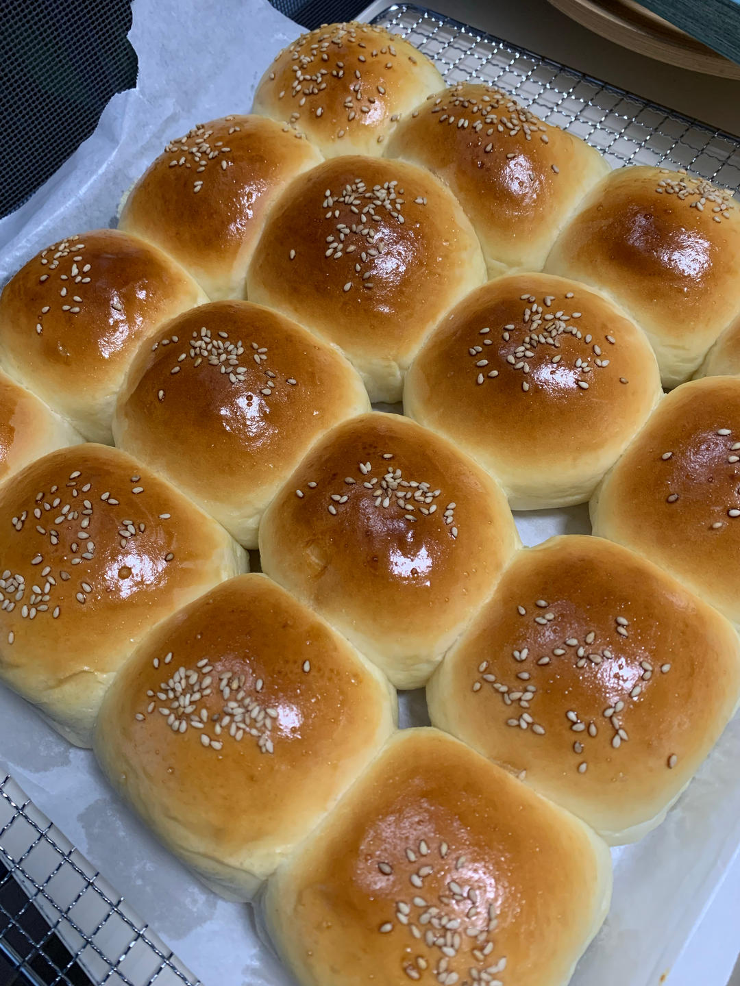 鲜奶油小餐包（一次发酵）