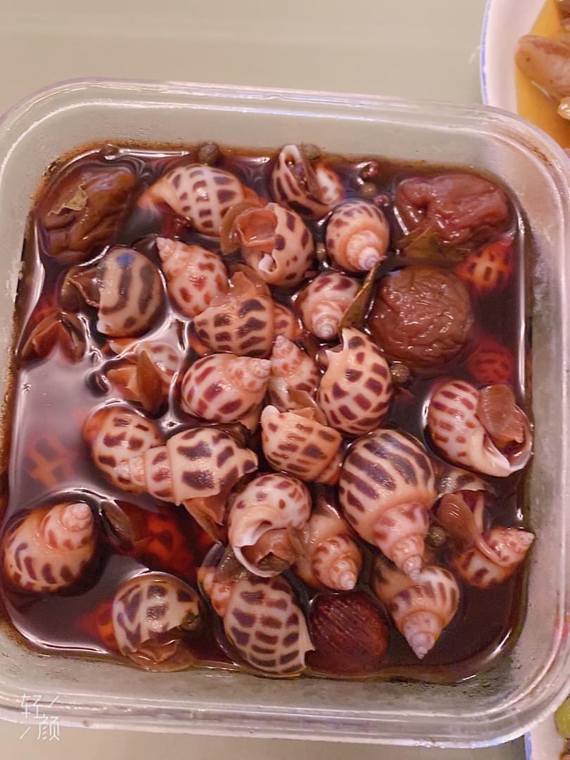 醉花螺