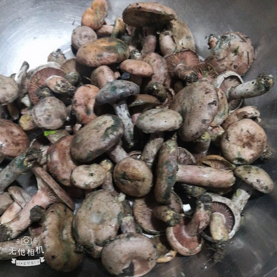 寒菌油