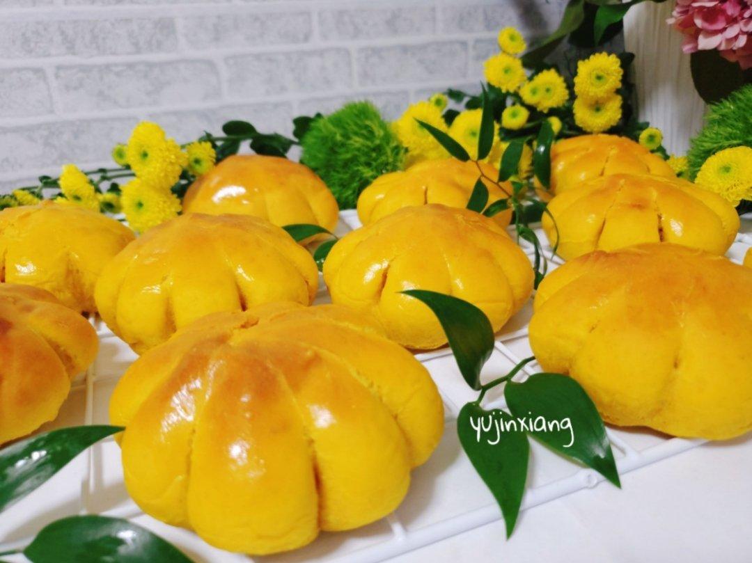 郁金香的幸福时光（花花草草，萌宠及风景等）