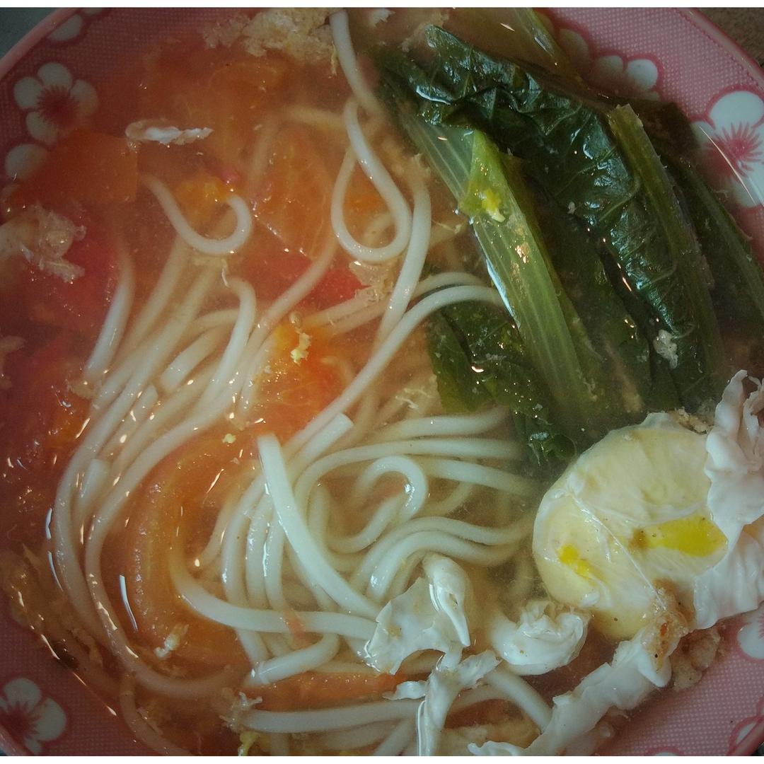 西红柿鸡蛋面