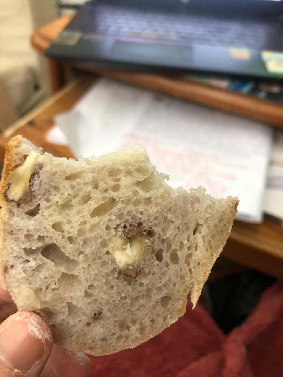 欧包的秘密（免揉/大孔洞/核桃/超简单）