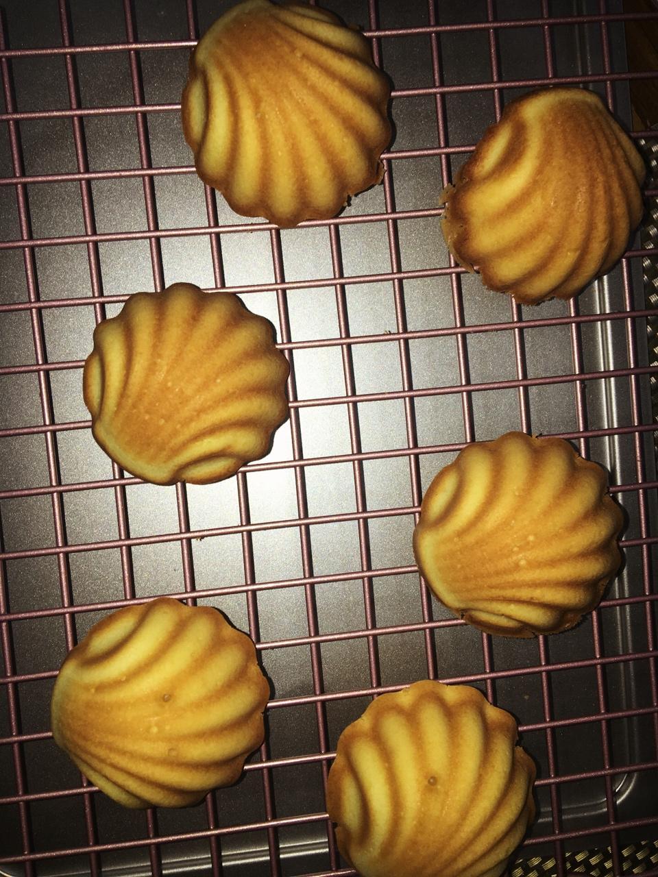原味玛德琳蛋糕