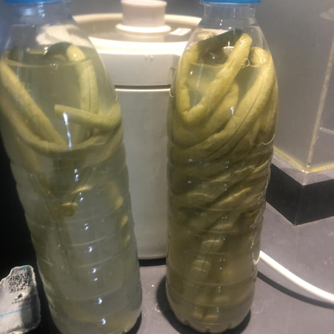 最简单的酸豆角