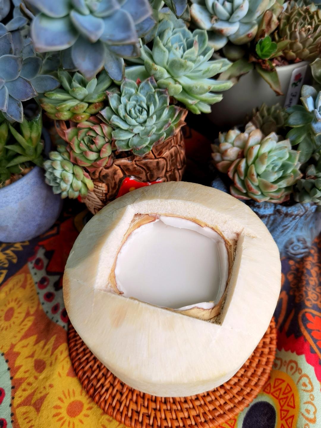 想要做出完美的嫩滑椰子冻🥥记住这个比例就对了