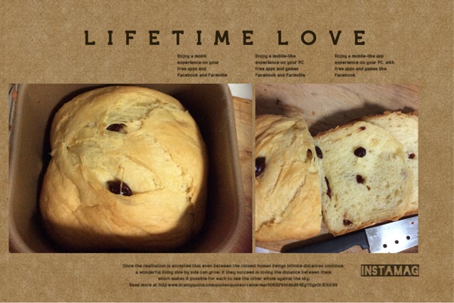 面包机版 葡萄干吐司