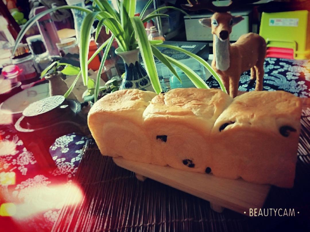 面包吐司(手工30分钟揉出手套膜)