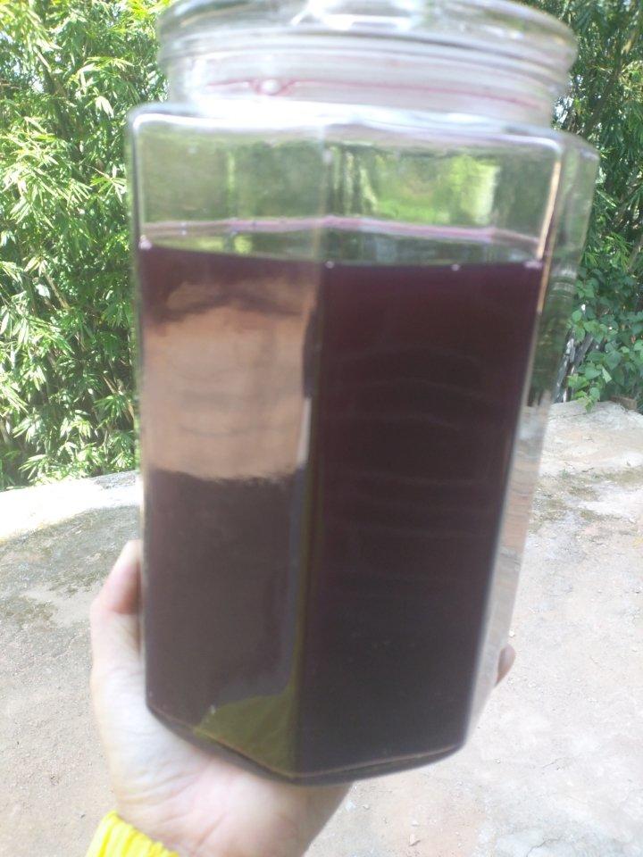 家庭自制葡萄酒