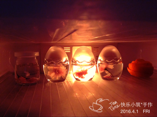 樱花水信玄饼
