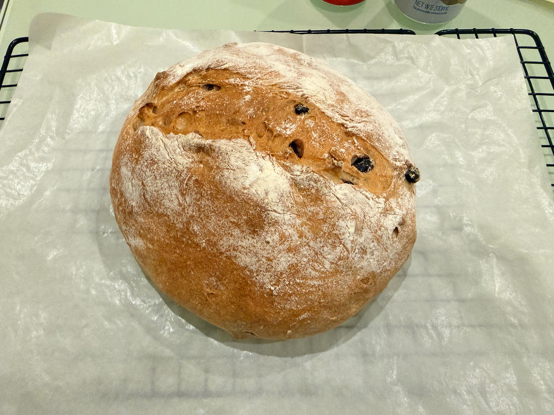 全麦坚果蔓越莓欧包~隔夜发酵