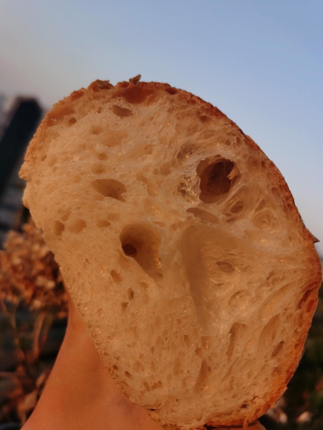 鲁邦种冷藏隔夜法恰巴塔Ciabatta（练习记录）