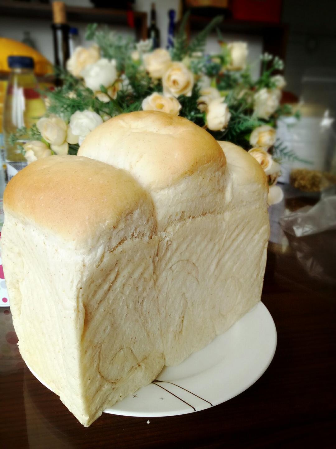 全麦波兰酵头吐司