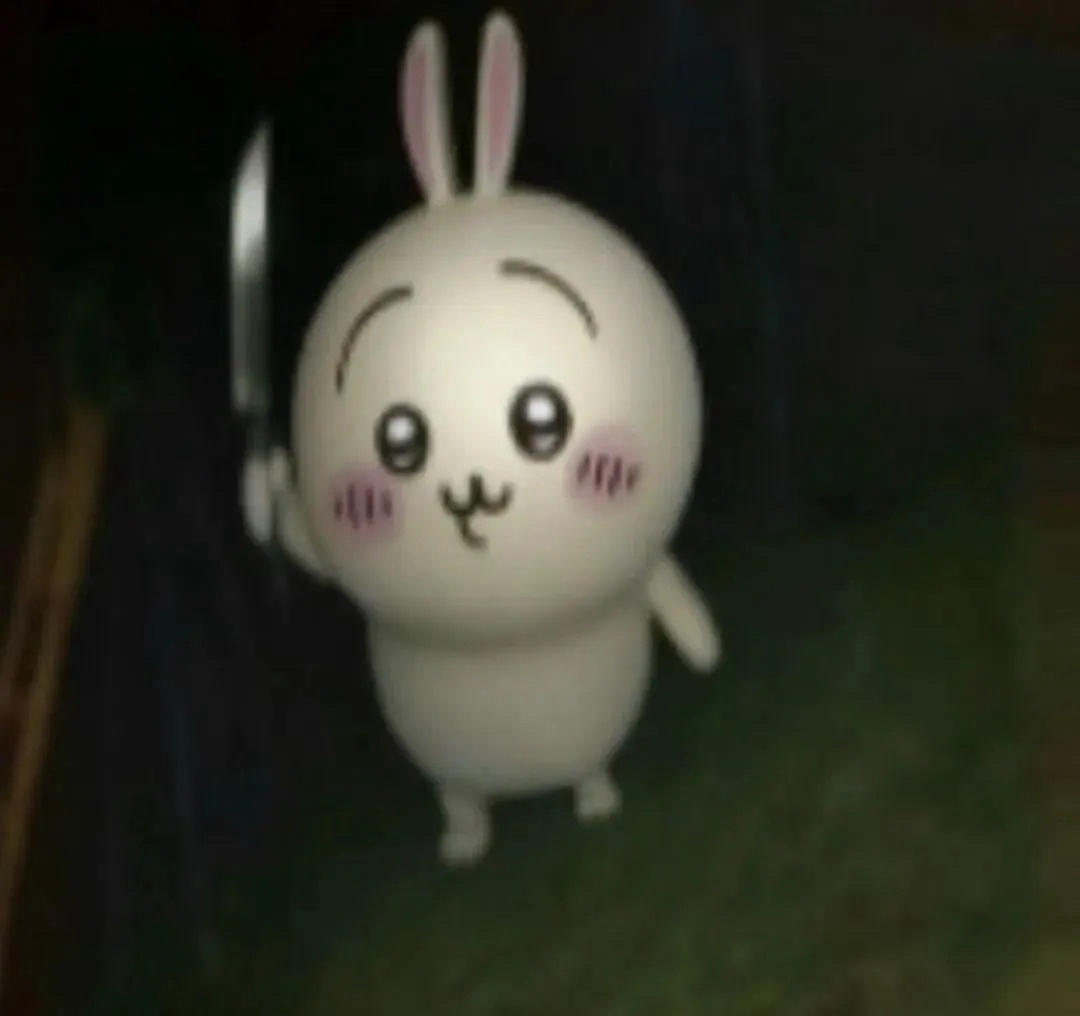 可可努力学做菜