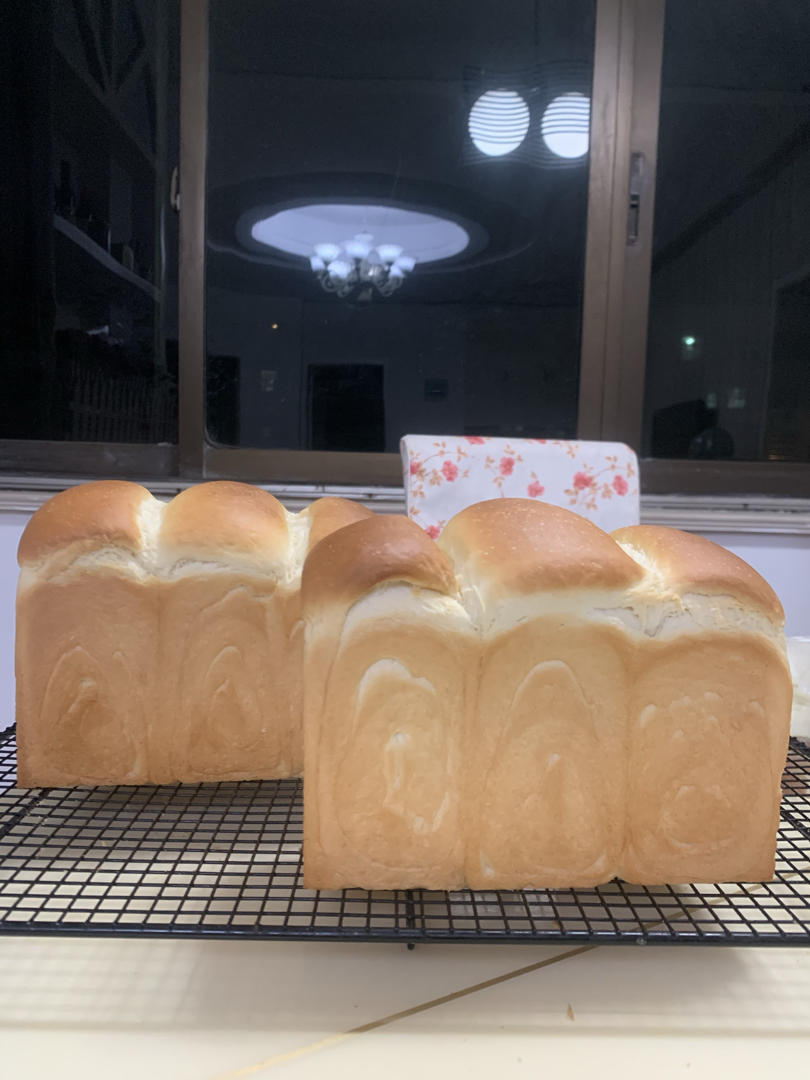 【北海道吐司】体验经典-妃娟100%中种，冷藏冰种的美味