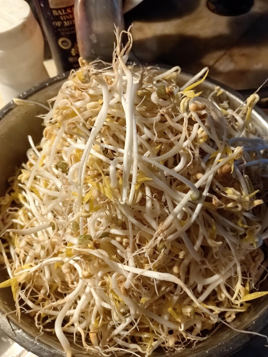 沥水篮发豆芽