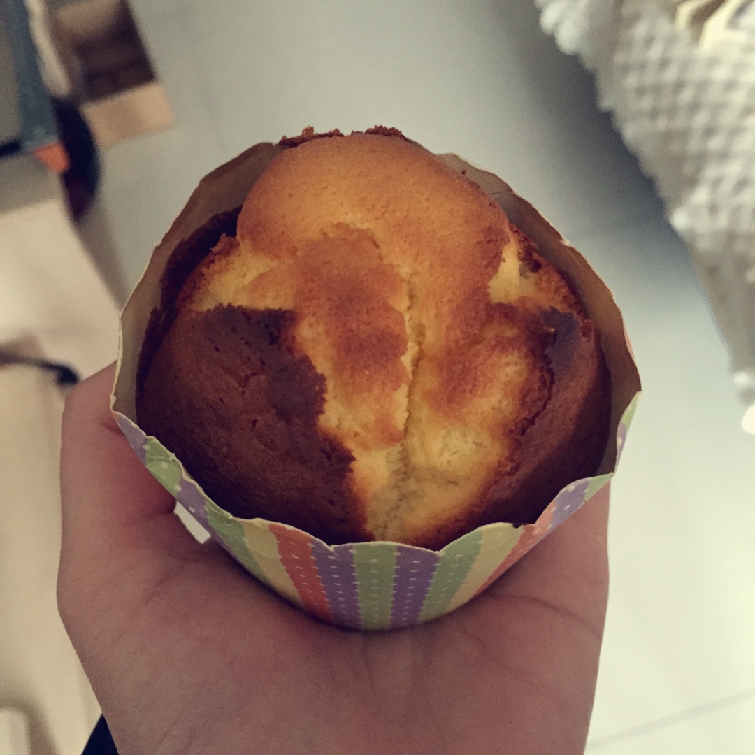 不会回缩的纸杯蛋糕--海氏烤箱定制