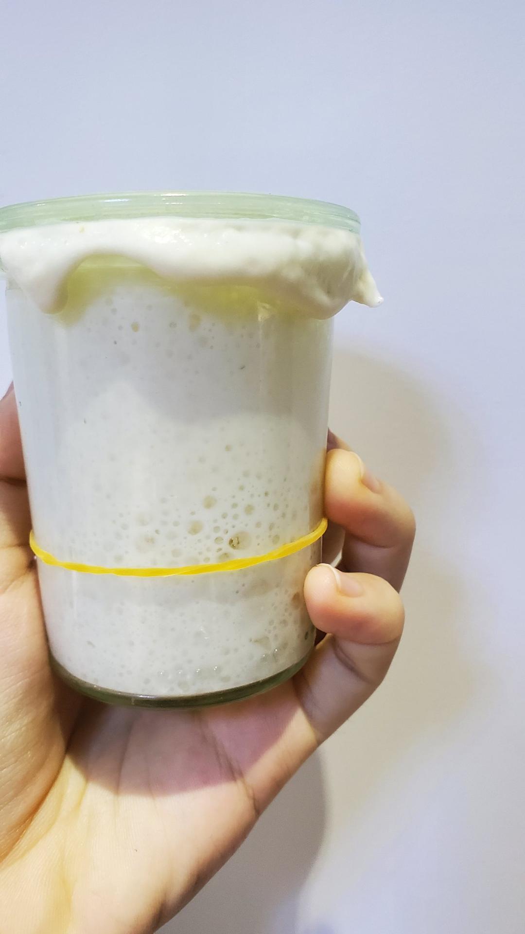 天然酵种培养记（小白记录用）（or鲁邦种）