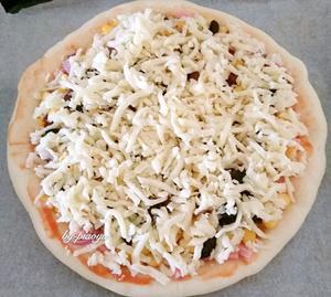 葡萄干玉米火腿披萨的做法 步骤5