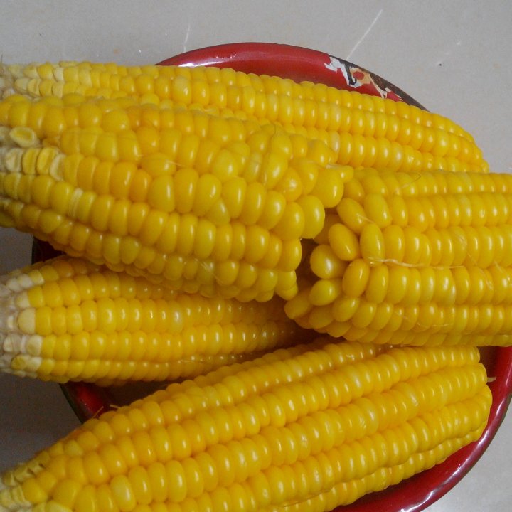 养生煮玉米