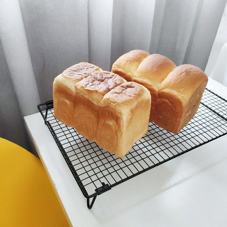 小鱼的小鱼缸