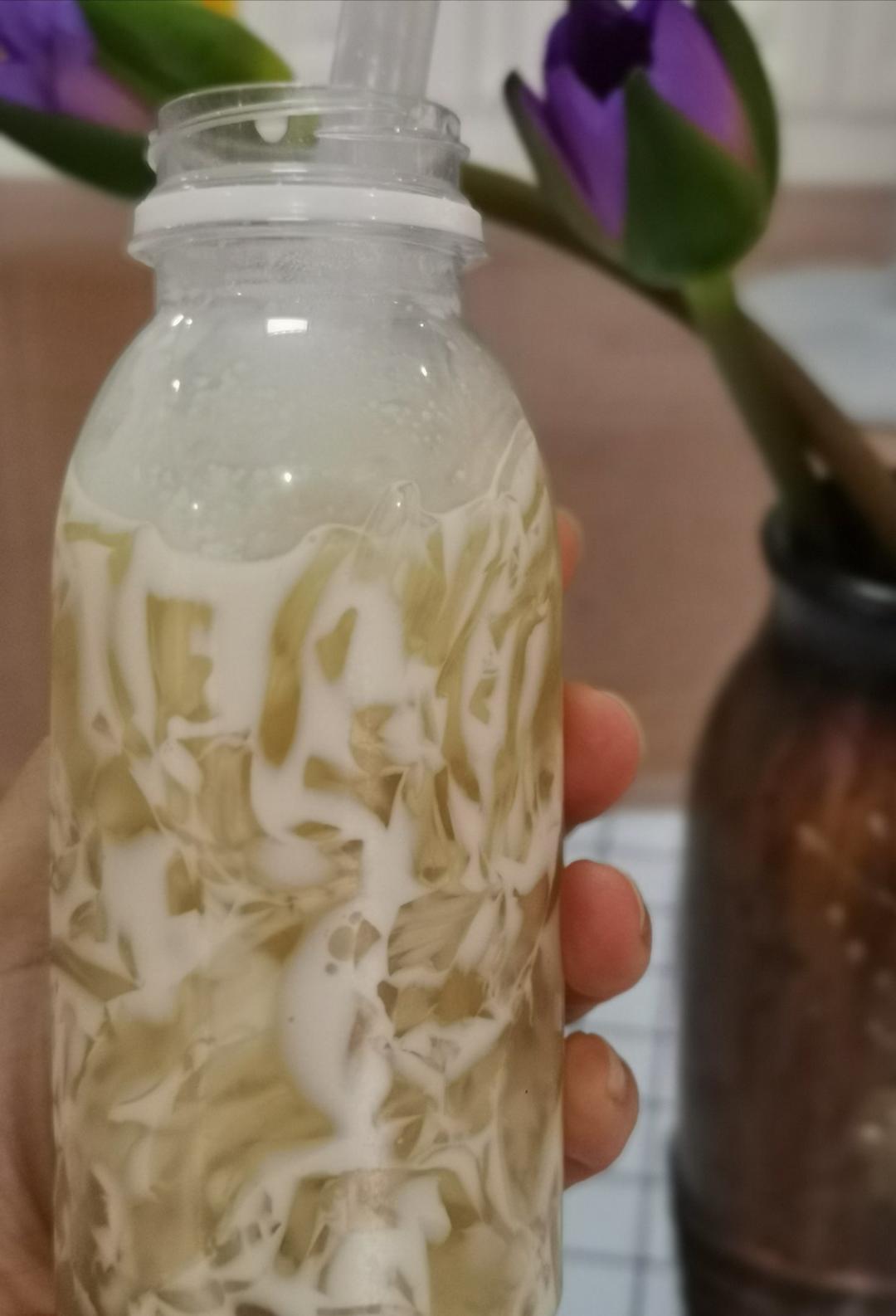 玩泥巴的小蜗牛做的海底椰菊花雪梨膏清热解毒