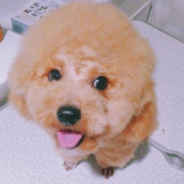 梦佳佳佳佳佳佳佳佳佳佳佳佳